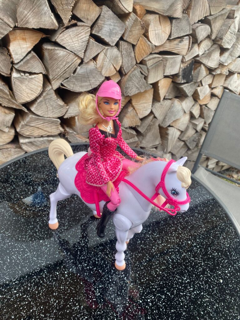 Großes Barbiepferd mit Barbiepuppe, neuwertig